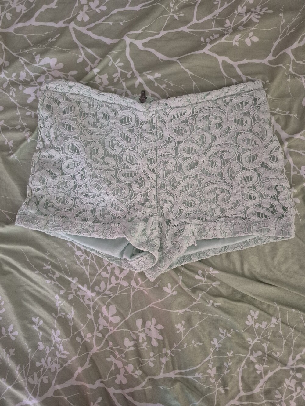 Lace Shorts